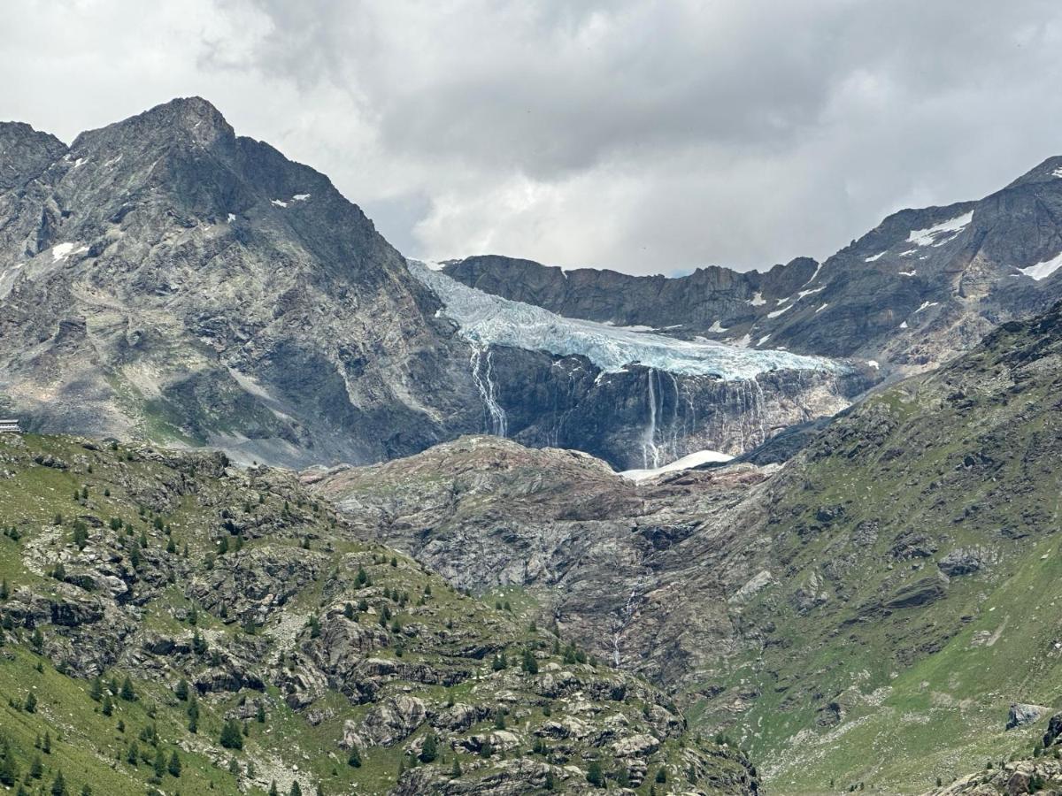 Snowlodge Valmalenco Caspoggio Eksteriør billede